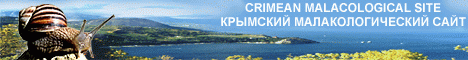 Моллюски Крыма: улитки и слизни